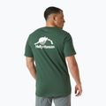 Футболка чоловіча Helly Hansen Nord Graphic jungle green 2