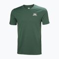 Футболка чоловіча Helly Hansen Nord Graphic jungle green 4