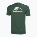 Футболка чоловіча Helly Hansen Nord Graphic jungle green 5