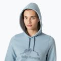 Кофта жіноча Helly Hansen Nord Graphic Pullover Hoodie windy blue 3