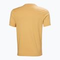 Футболка чоловіча Helly Hansen Logo 3.0 sand 5