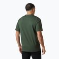 Футболка чоловіча Helly Hansen Box T 2.0 jungle green 2