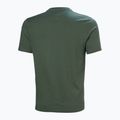 Футболка чоловіча Helly Hansen Box T 2.0 jungle green 5