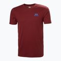 Футболка чоловіча Helly Hansen Nord Graphic mars red 4