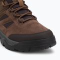 Черевики трекінгові чоловічі Helly Hansen Switchback Low 3 HellyTech bushwacker/coffe bean 7