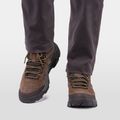 Черевики трекінгові чоловічі Helly Hansen Switchback Low 3 HellyTech bushwacker/coffe bean 9
