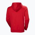 Кофта чоловіча Helly Hansen HH Logo Hoodie red 6