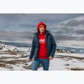 Кофта чоловіча Helly Hansen HH Logo Hoodie red 7