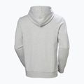 Кофта чоловіча Helly Hansen HH Logo Hoodie grey/melange 6