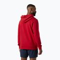 Кофта чоловіча Helly Hansen Core Graphic Hoodie red 2