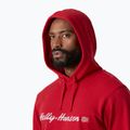 Кофта чоловіча Helly Hansen Core Graphic Hoodie red 3