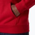 Кофта чоловіча Helly Hansen Core Graphic Hoodie red 4