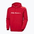 Кофта чоловіча Helly Hansen Core Graphic Hoodie red 5