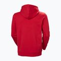 Кофта чоловіча Helly Hansen Core Graphic Hoodie red 6