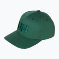 Кепка Helly Hansen Brand opal green