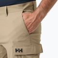 Шорти вітрильні чоловічі Helly Hansen QD Cargo 11" pebble 3