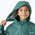 Куртка вітрильна дитяча Helly Hansen Moss opal green 3