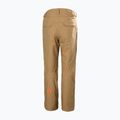 Штани лижні чоловічі Helly Hansen Sogn Cargo elmwood 7