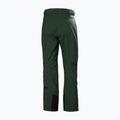 Штани лижні чоловічі Helly Hansen Legendary Insulated dark jungle 2