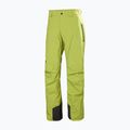 Штани лижні чоловічі Helly Hansen Legendary Insulated pulse green