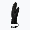 Рукавиці лижні Helly Hansen Alpha Mittens black placeholder 2