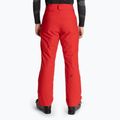 Штани гірськолижні чоловічі HEAD Supershape red 2