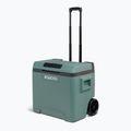 Холодильник туристичний Igloo IE42 ACDC 42 and spruce 2