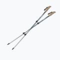 Палиці трекінгові Silva Trekking Poles Alu Tele black 2