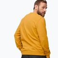 Кофта трекінгова чоловіча Fjällräven 1960 Logo Badge Sweater 161 mustard yellow 4