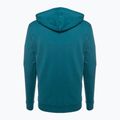 Кофта трекінгова чоловіча Fjällräven Logo Hoodie deep sea 2
