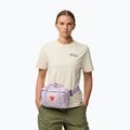 Сумка бананка Fjällräven Kanken 4 л pastel lavender 4