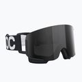Окуляри лижні POC Nexal uranium black/partly sunny grey