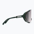 Окуляри сонцезахисні POC Devour pargasite green/clarity road/sunny silver 4