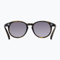 Окуляри сонцезахисні POC Know tortoise brown/clarity road/sunny silver 3