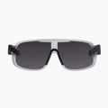 Окуляри велосипедні POC Aspire argentite silver/clarity define silver 3