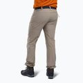 Штани трекінгові чоловічі Pinewood Finnveden Sports Light mole brown 2
