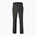 Штани трекінгові чоловічі Pinewood Finnveden Sports Light ash grey 7