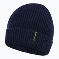 Шапка зимова дитяча Didriksons Buz Beanie navy