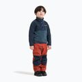 Кофта флісова дитяча Didriksons Monte 6 Half Button mountain blue 4