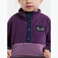 Кофта флісова дитяча Didriksons Monte 6 Half Button northern purple 7