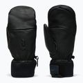 Рукавиці лижні Peak Performance Leather Hipe Solarcore Insulated Mitten black