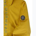 Куртка сноубордична чоловіча Colourwear Signature Anorak yellow 3