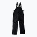 Штани сноубордичні чоловічі Colourwear Slash Bib black 11
