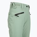 Штани сноубордичні жіночі Colourwear Cork lt sage 4
