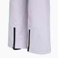 Штани сноубордичні жіночі Colourwear Cork lilac 4