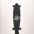 Лонгборд Fish Skateboards Longboard Pixie 9