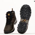 Черевики для трекінгу чоловічі Columbia Newton Ridge Plus II Wp cordovan/squash 11