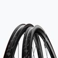Заднє велосипедне колесо DT Swiss AR 1600 SP 700C CL 30 12/142 ASL11 чорне 3
