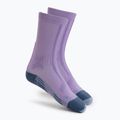 Жіночі шкарпетки для бігу X-Socks Trailrun Discover Crew орхідея/захід сонця сині