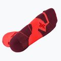 Шкарпетки чоловічі X-Socks Trailrun Perform Crew fluo red/namib red 5